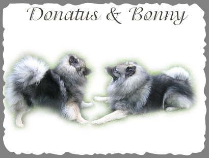 Donatus and Bonny