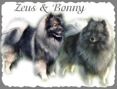 Zeus and Bonny