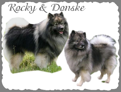 Rocky & Donske