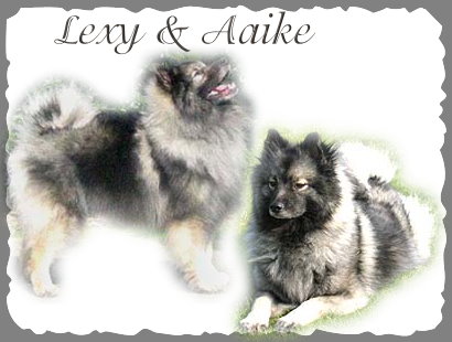 Lexy and Aaike
